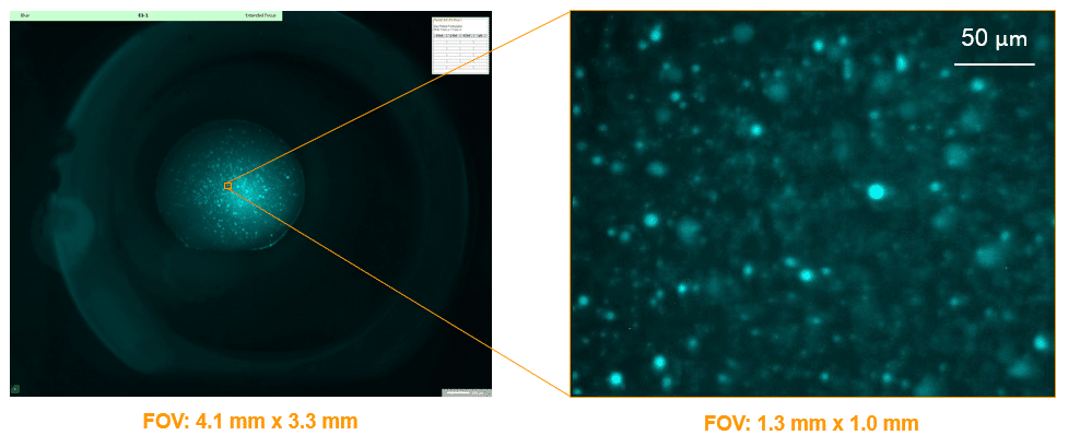 imaging-field-of-view-range