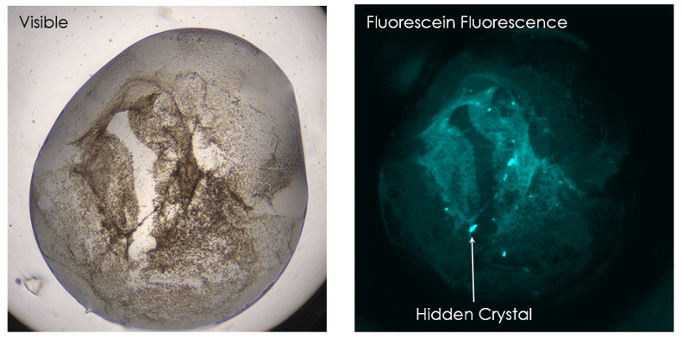 sensitive-crystal-detection