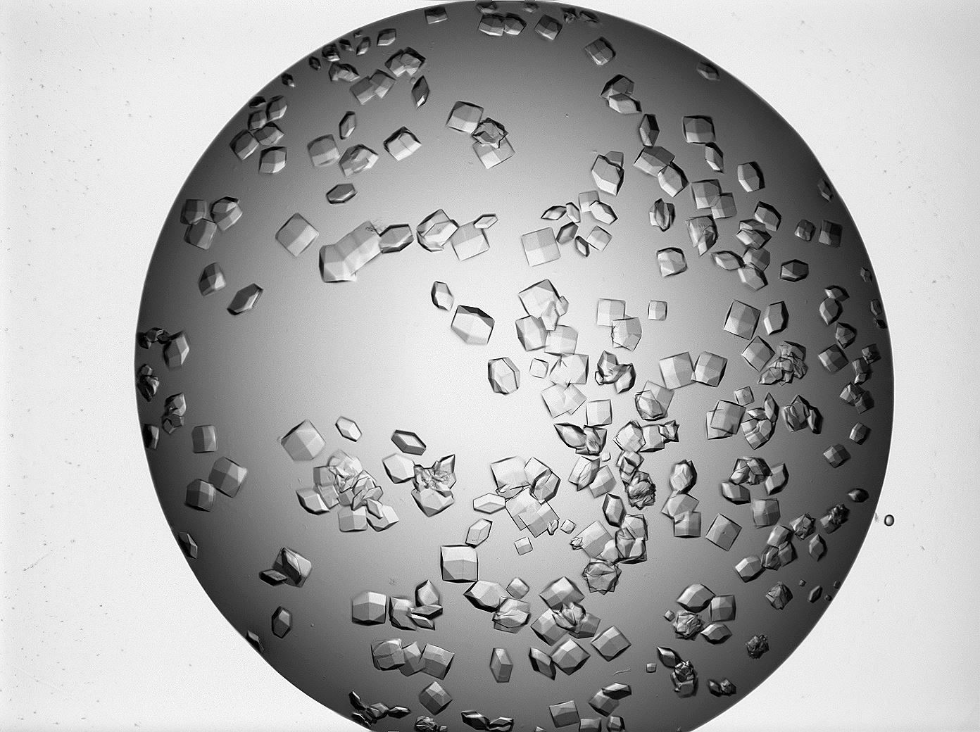 visible light protein crystals