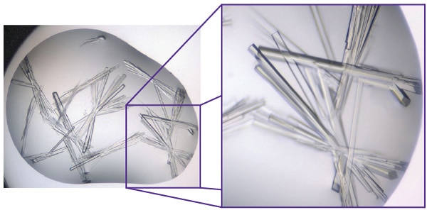 protein crystal image zoomed in with a region of interest