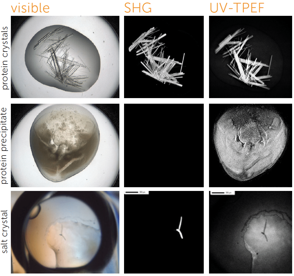 sonicc protein and salt crystal comparison
