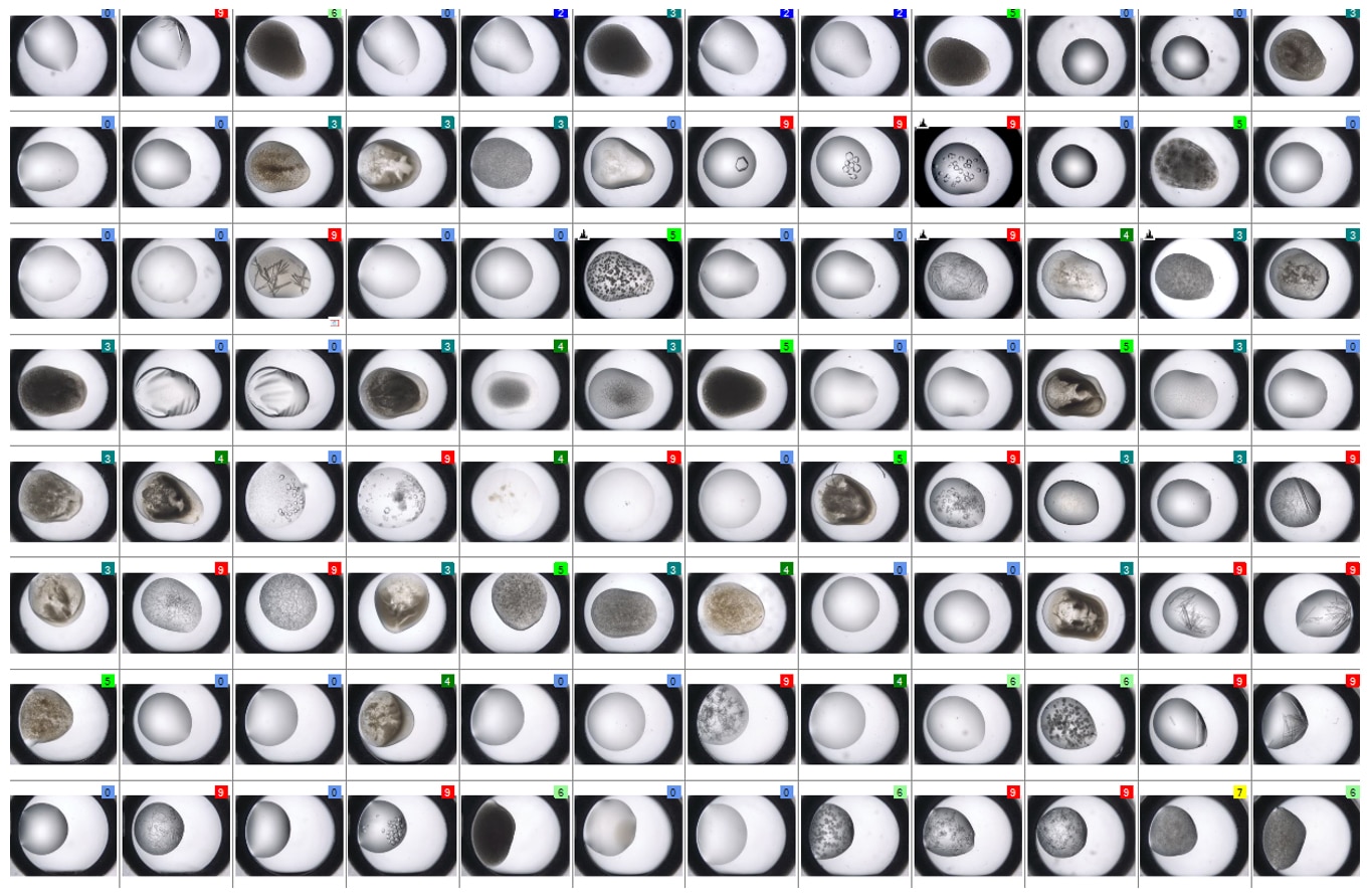 sonicc visible light imaging of protein crystals