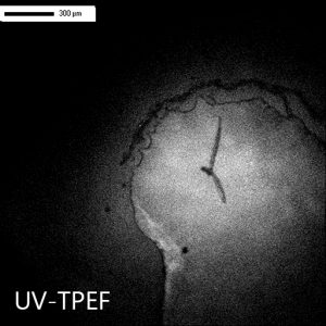 salt crystals - SONICC - UV-TPEF