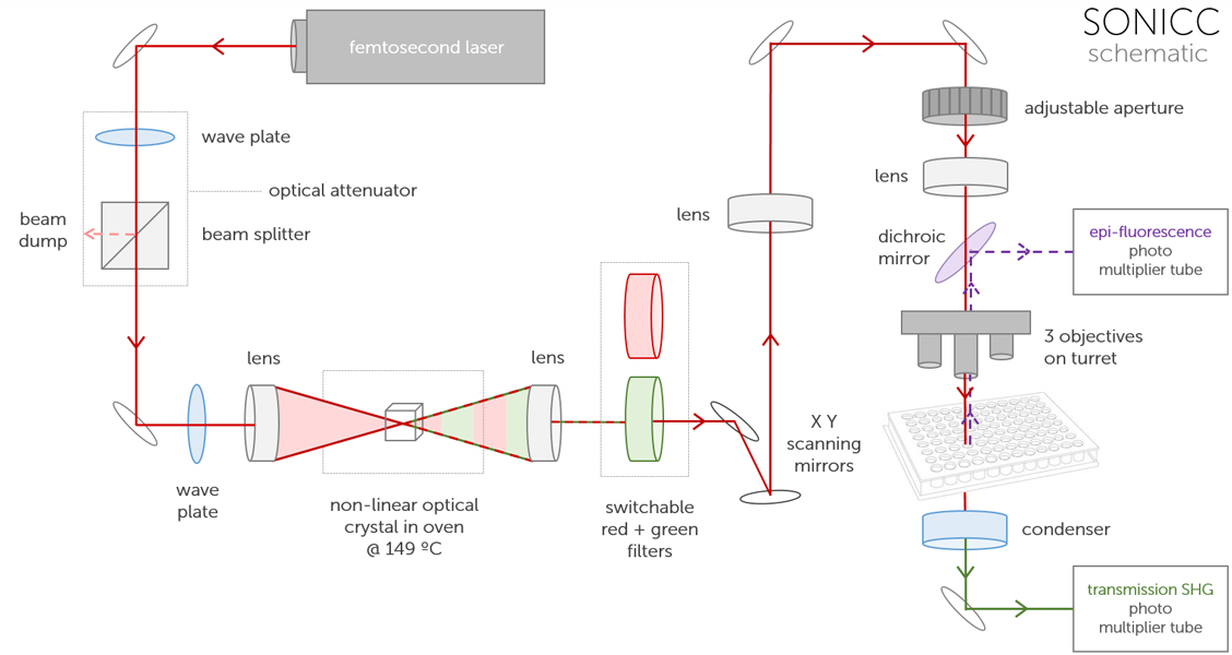 Second Order Non-linear Imaging of Chiral Crystals SONICC® schematic