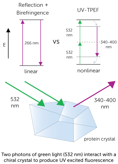 ultraviolet two-photon excited fluorescence UV-TPEF