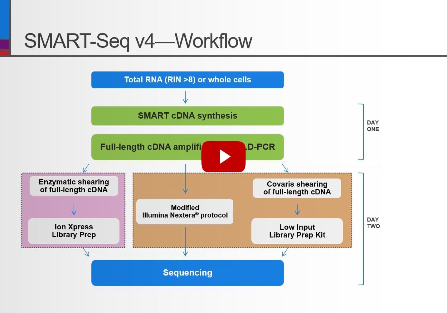 SMART Seq v4 - Harnessing the power updated