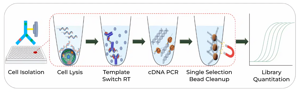 Maantis Single cell appnote