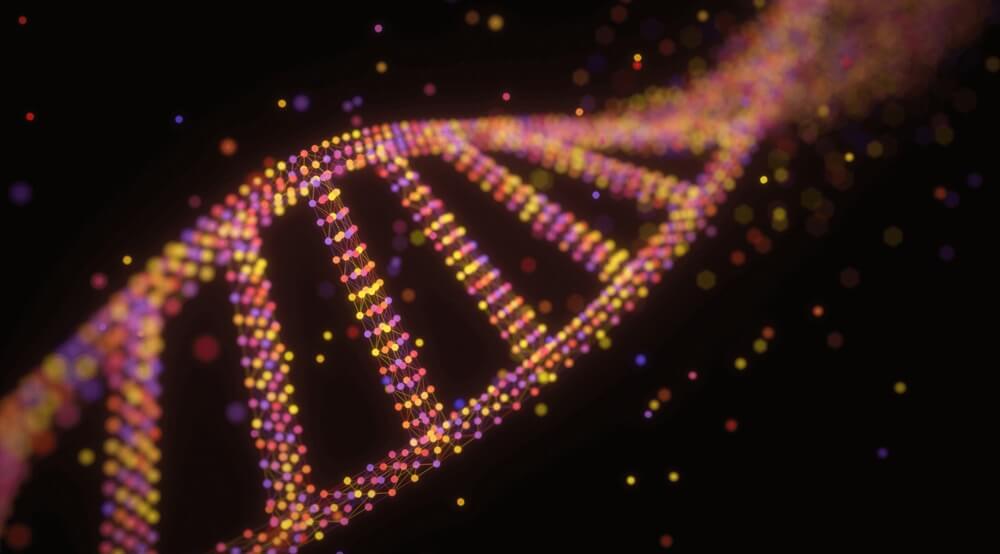 dna-molecule-structure (1)