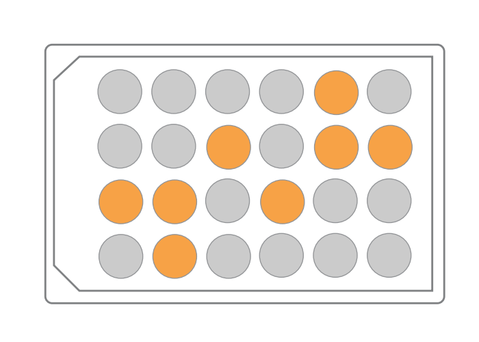Assay Development & Screening