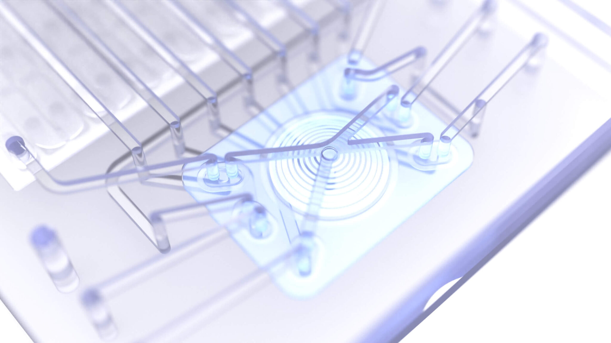 pulse chip.440 jpeg (1)