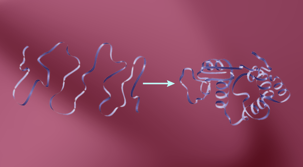 protein refolding