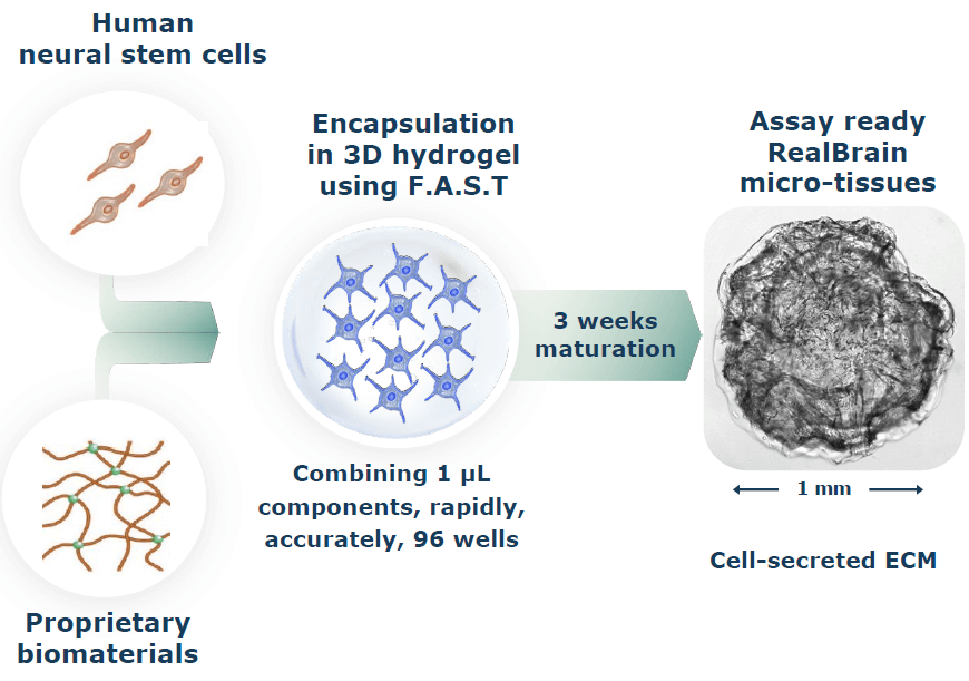 image_2024_06_05T11_17_13_308Z (1)