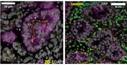 dispensing difficult reagents