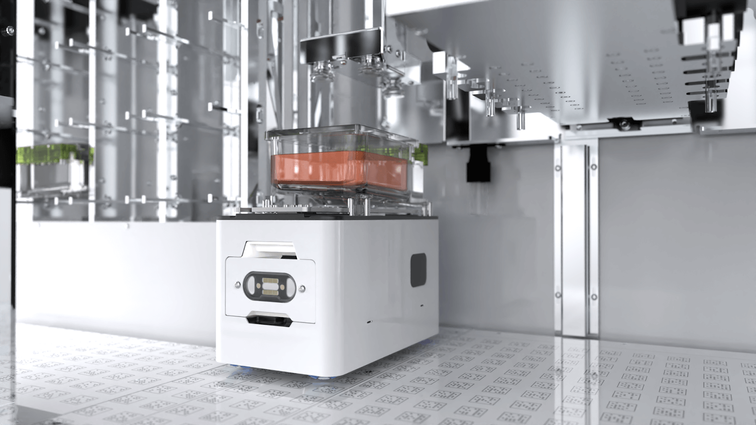 cell animation - orange