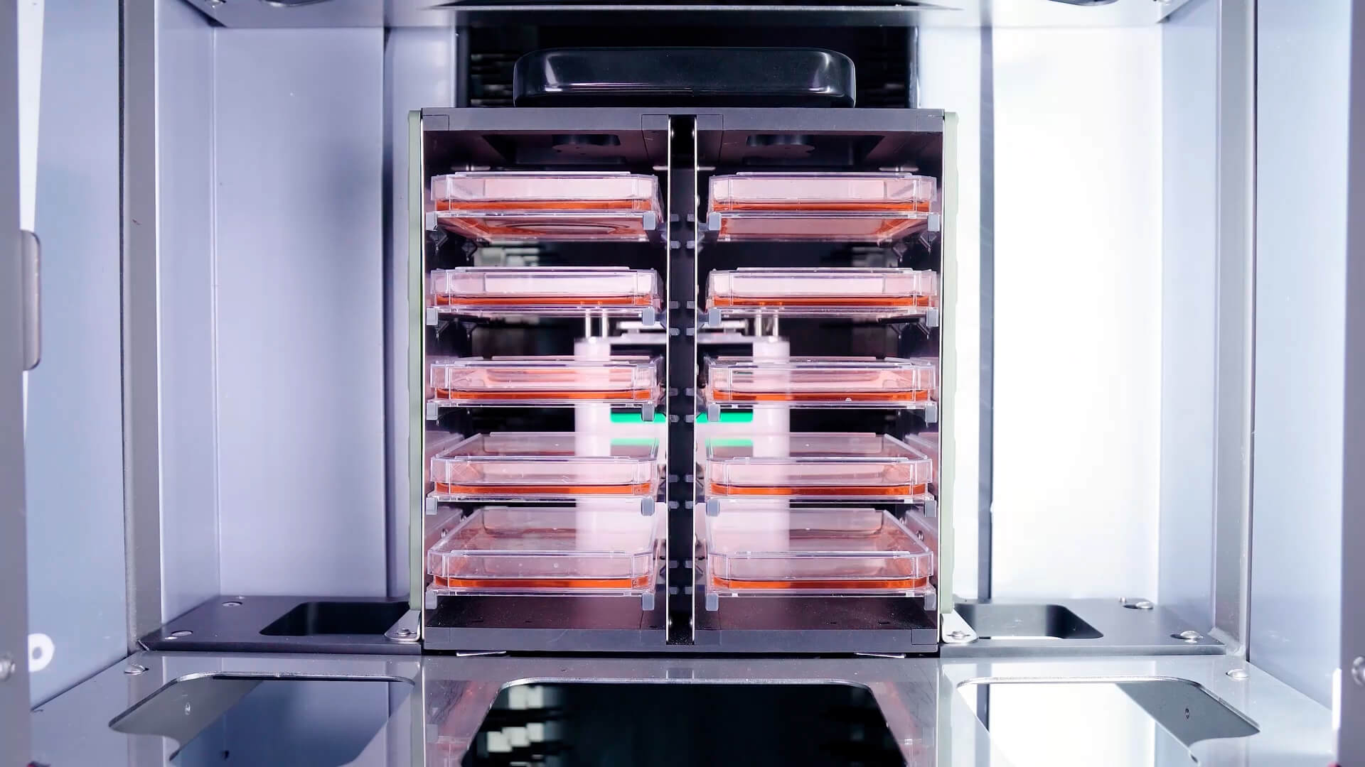 Plate-loading-into-incubator (