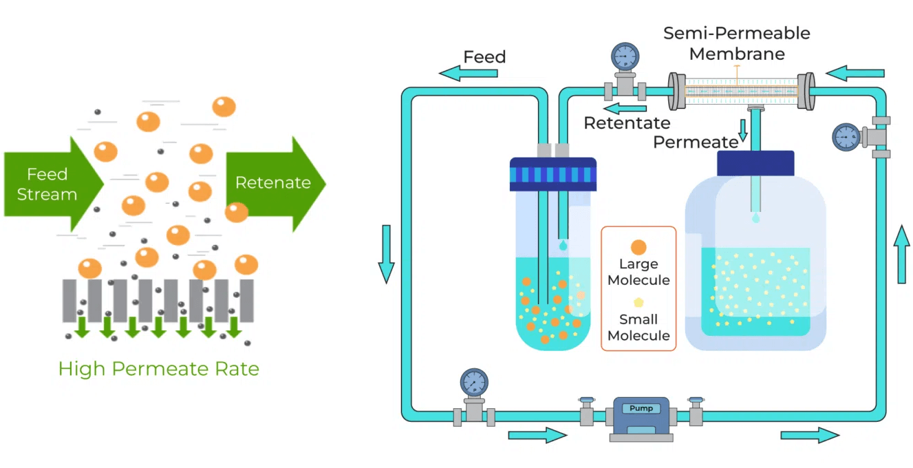 Tangential-flow-filtration (1)