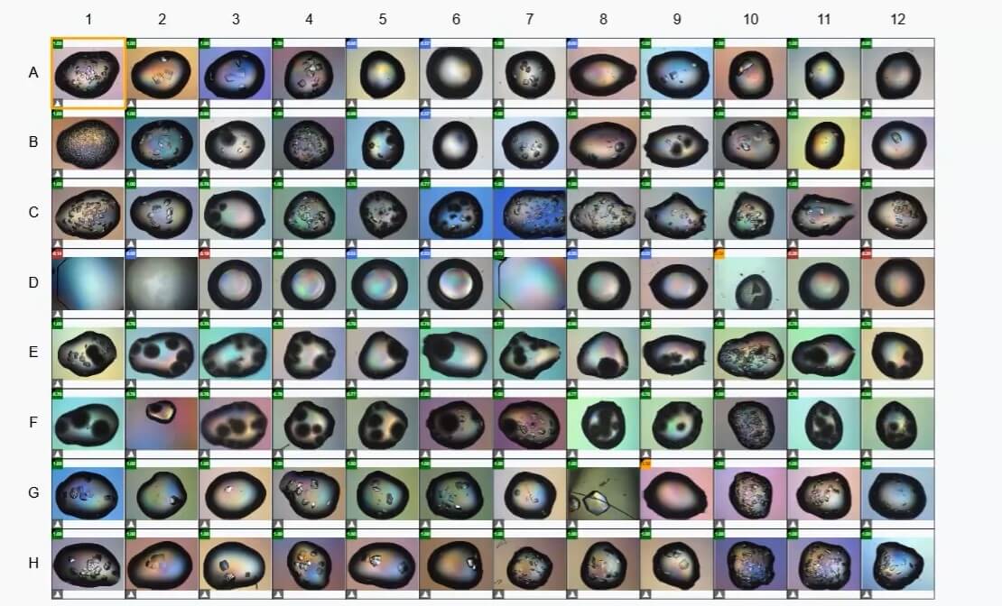 [Updated 2025] ROCK MAKER V4 - 2 (1)