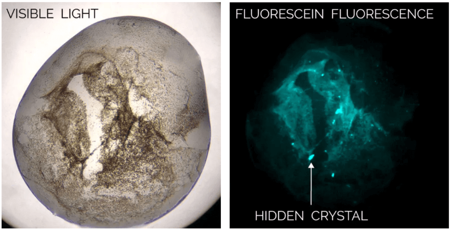 MFI Protein Crystallography