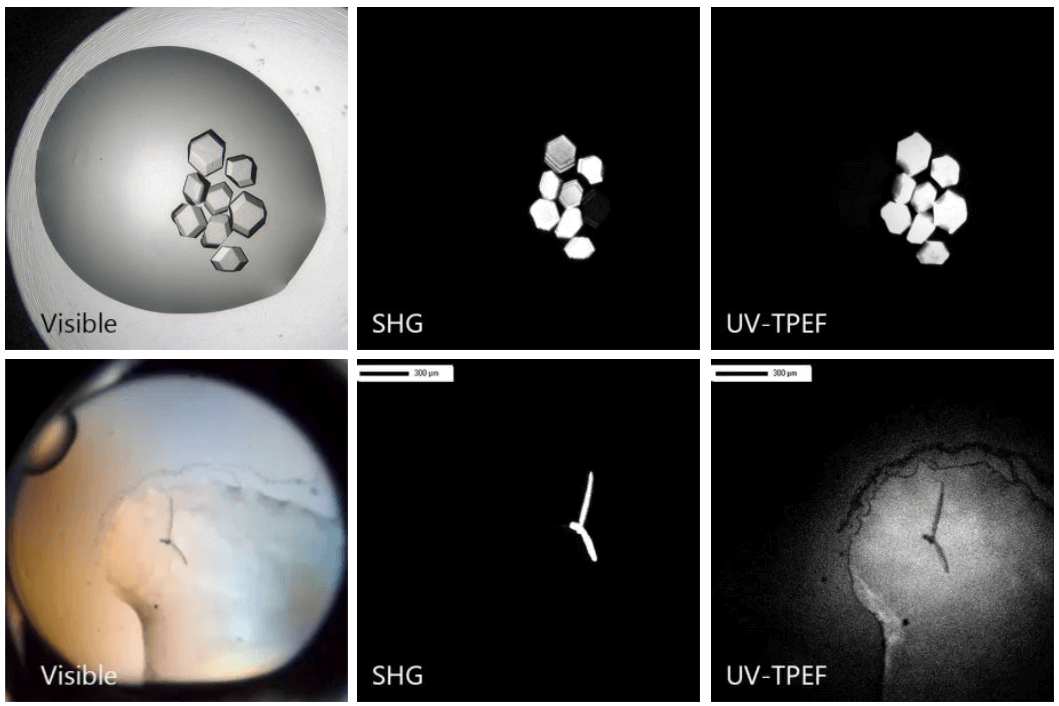 SONICC-Protein-Crystallography