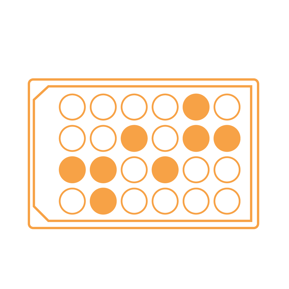 Assay-Development-&-Screening (1)