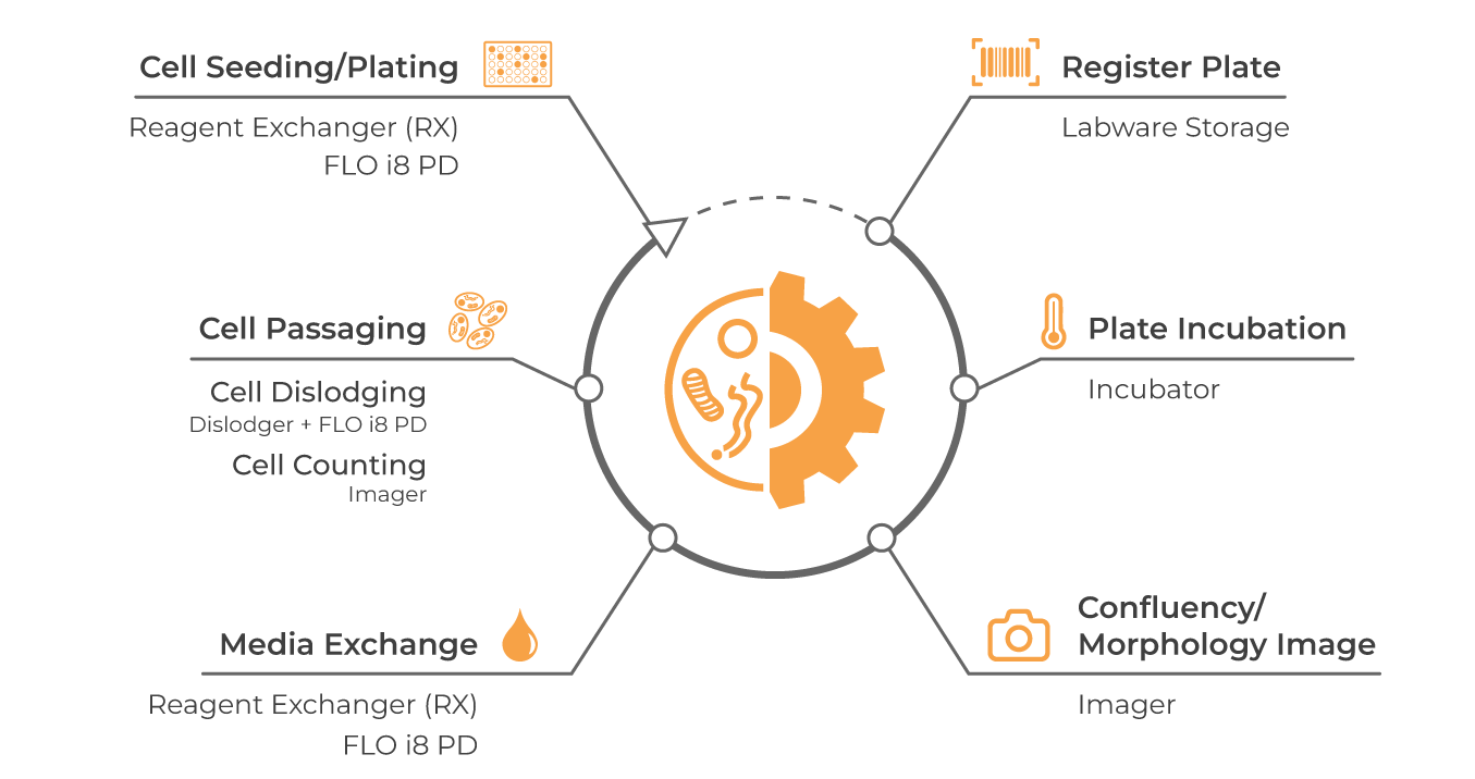 cellmatic-icon-and-workflow